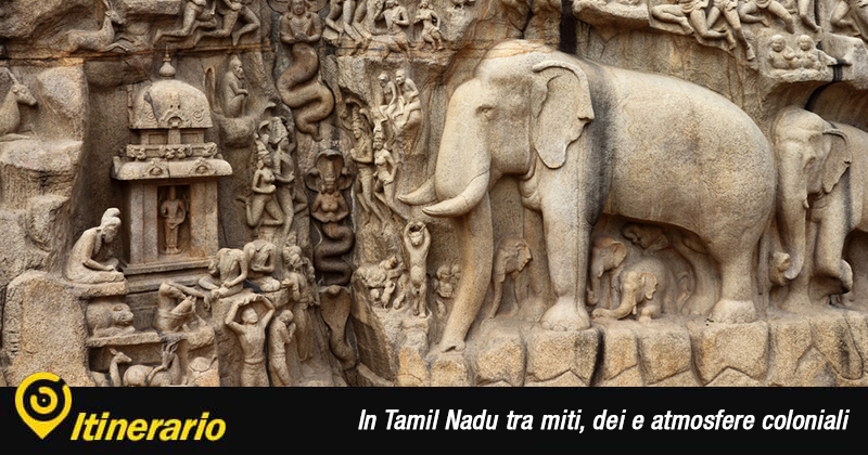 Itinerario in Tamil Nadu, sullo sfondo la Discesa del Gange di Mahabalipuram, una grossa roccia scolpita con elefanti, animali della foresta e esseri umani e divini